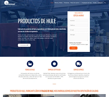 Portafolio Clics Web 5