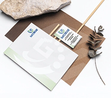 Portafolio Clics Web 3